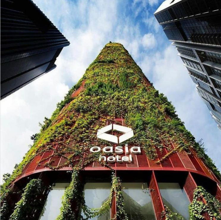 vertical forests 3