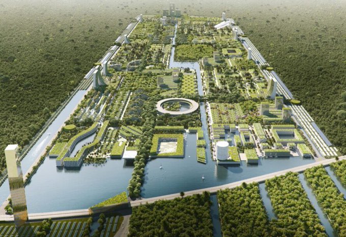 vertical forests city