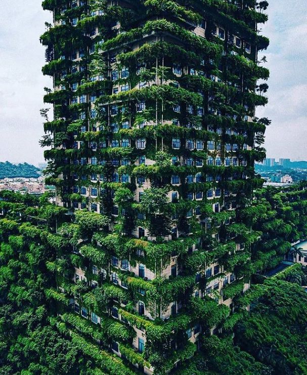 vertical forests 1