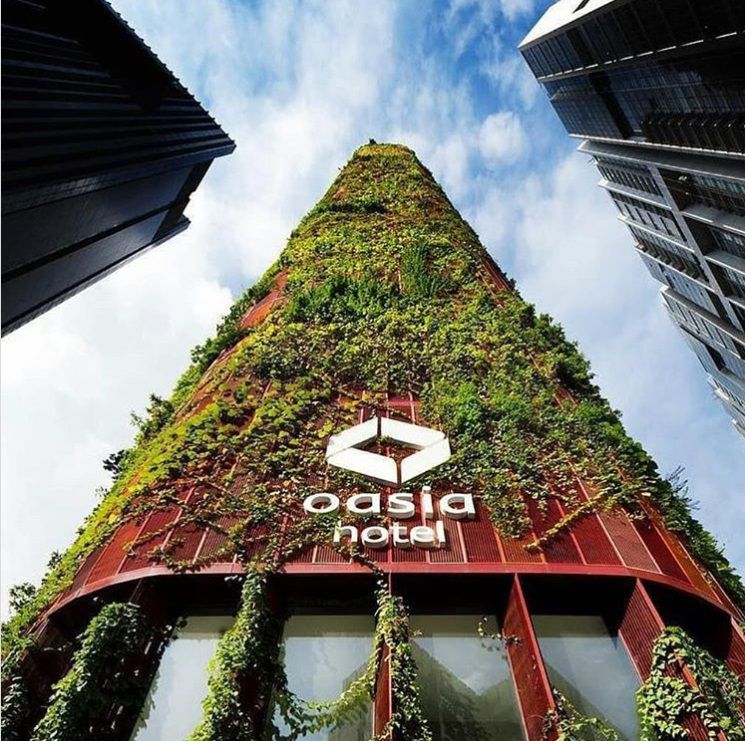vertical forests 3