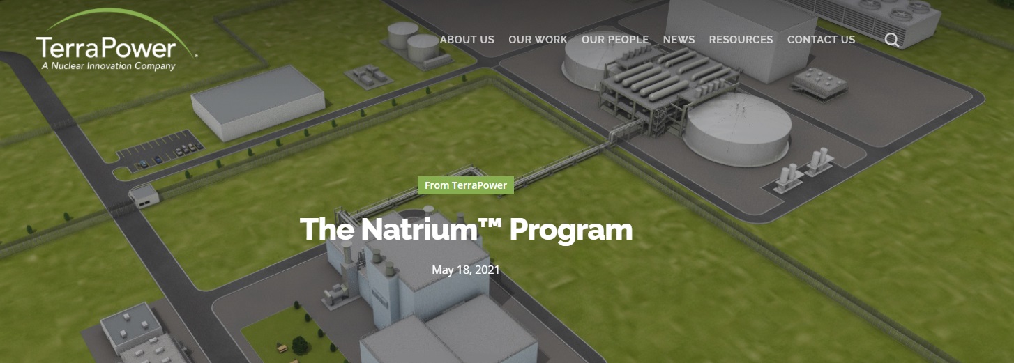 molten salt reactor natrium