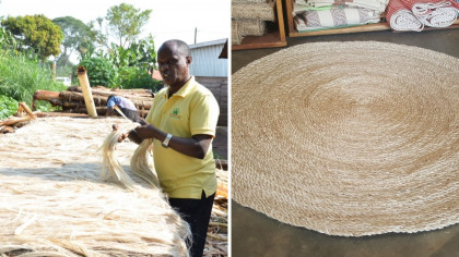 Uganda Startup Makes Carpets, Hair Extensions Out of Banana Waste