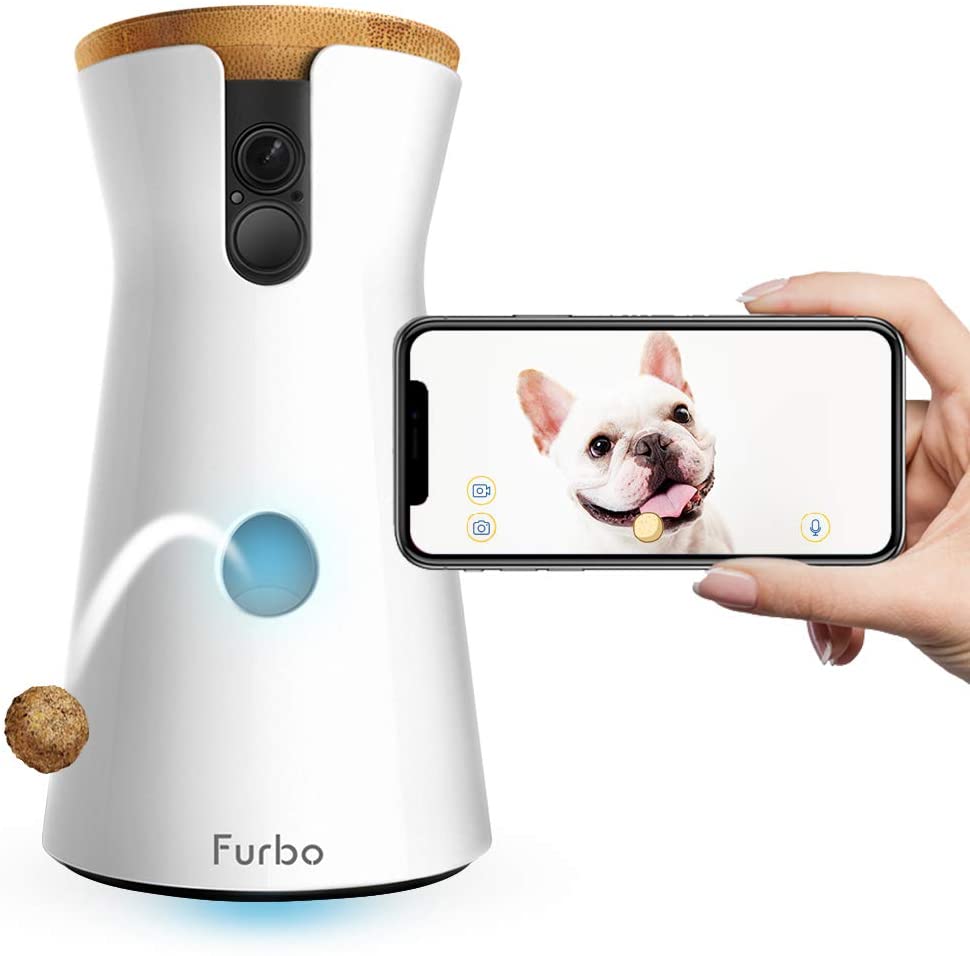 7 pet cameras to have an extra eye on your animal friend when you're not home 7 pet cameras to have an extra eye on your animal friend when you're not home