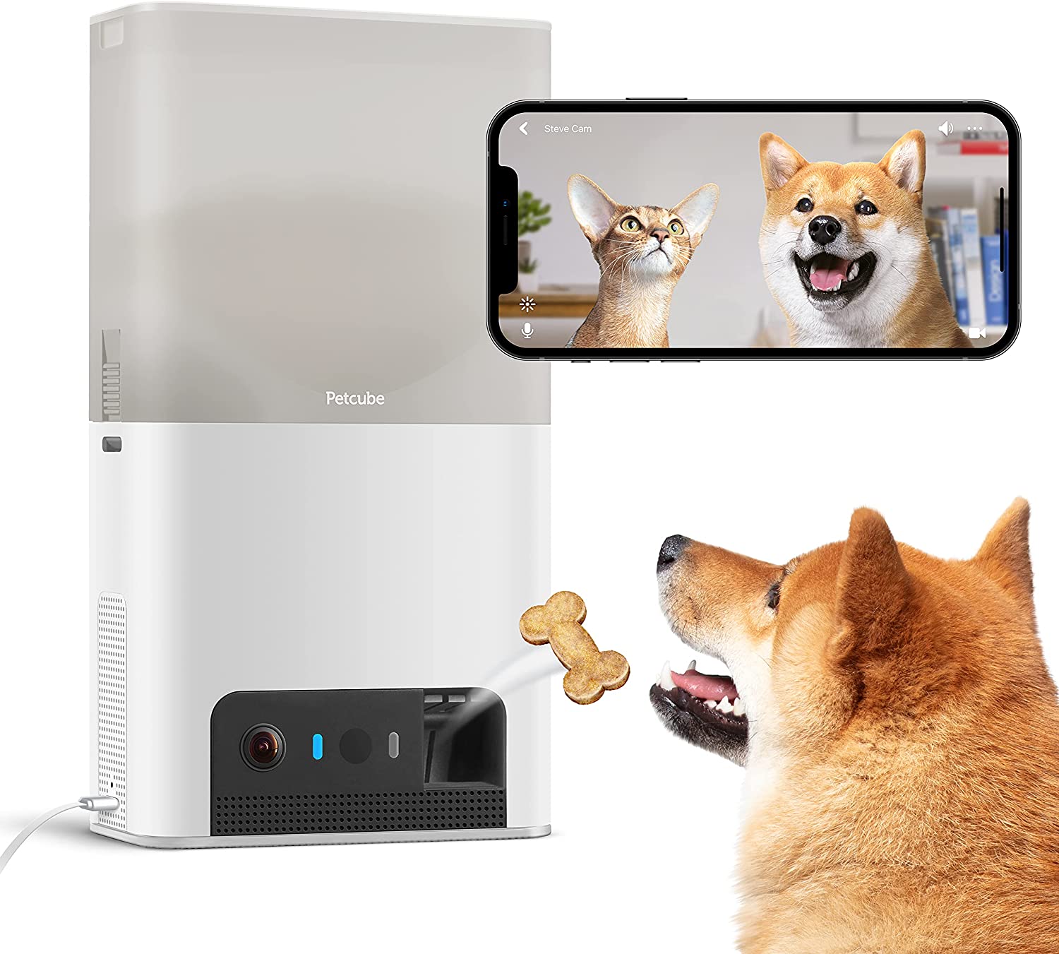 7 pet cameras to have an extra eye on your animal friend when you're not home 7 pet cameras to have an extra eye on your animal friend when you're not home