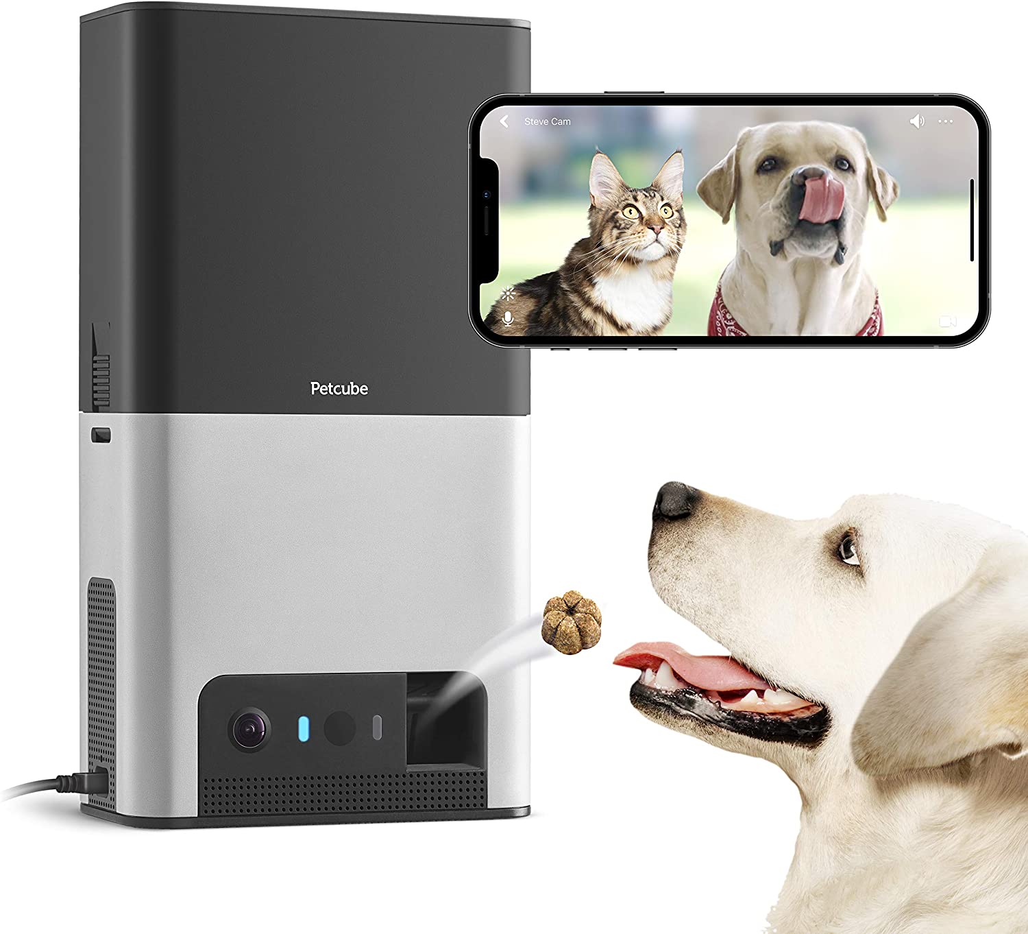 7 pet cameras to have an extra eye on your animal friend when you're not home 7 pet cameras to have an extra eye on your animal friend when you're not home