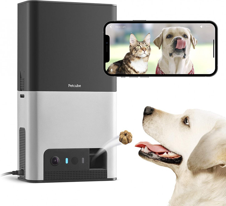 7 pet cameras to have an extra eye on your animal friend when you're not home 7 pet cameras to have an extra eye on your animal friend when you're not home