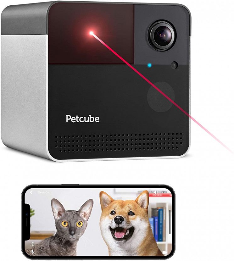 7 pet cameras to have an extra eye on your animal friend when you're not home 7 pet cameras to have an extra eye on your animal friend when you're not home