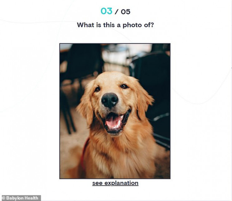 These Puzzles Will Make You Understand Just What It's like to Live with Dementia These Puzzles Will Make You Understand Just What It's like to Live with Dementia
