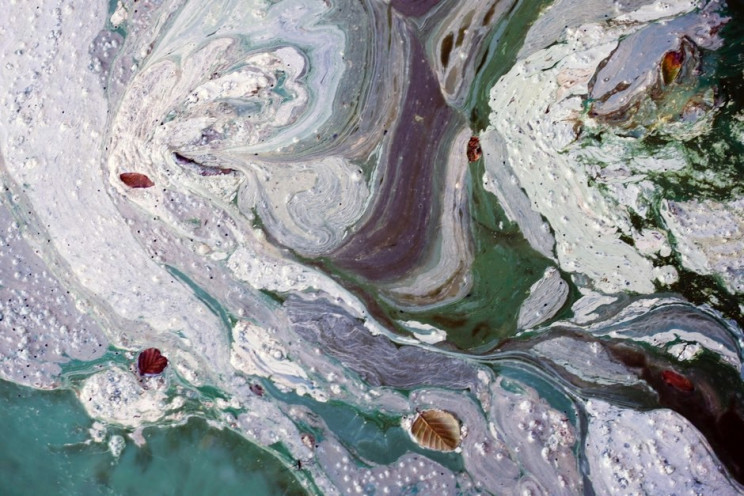 The Royal Society Announces Best Science Photos Of The Year The Royal Society Announces Best Science Photos Of The Year
