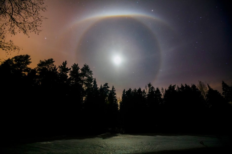 The Royal Society Announces Best Science Photos Of The Year The Royal Society Announces Best Science Photos Of The Year