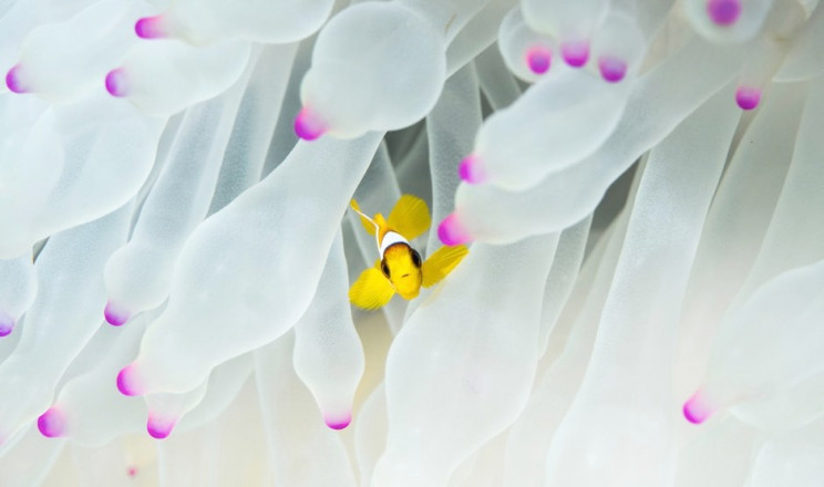 The Royal Society Announces Best Science Photos Of The Year The Royal Society Announces Best Science Photos Of The Year