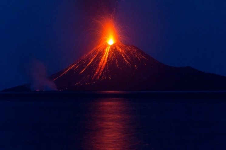 The Royal Society Announces Best Science Photos Of The Year The Royal Society Announces Best Science Photos Of The Year