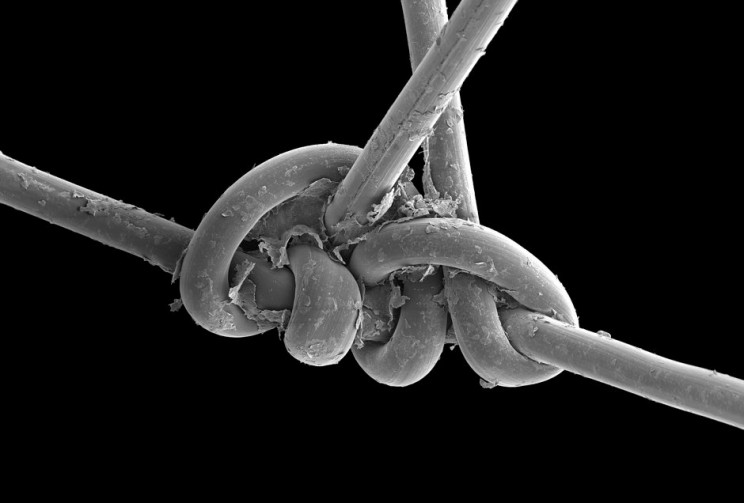 The Royal Society Announces Best Science Photos Of The Year The Royal Society Announces Best Science Photos Of The Year