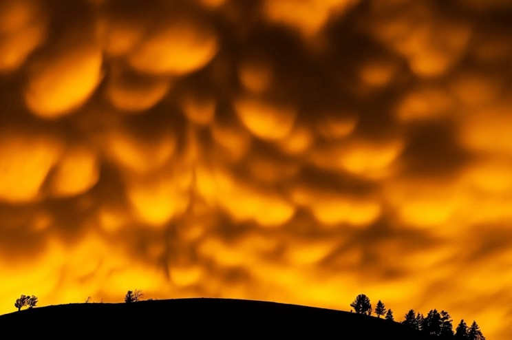 The Royal Society Announces Best Science Photos Of The Year The Royal Society Announces Best Science Photos Of The Year