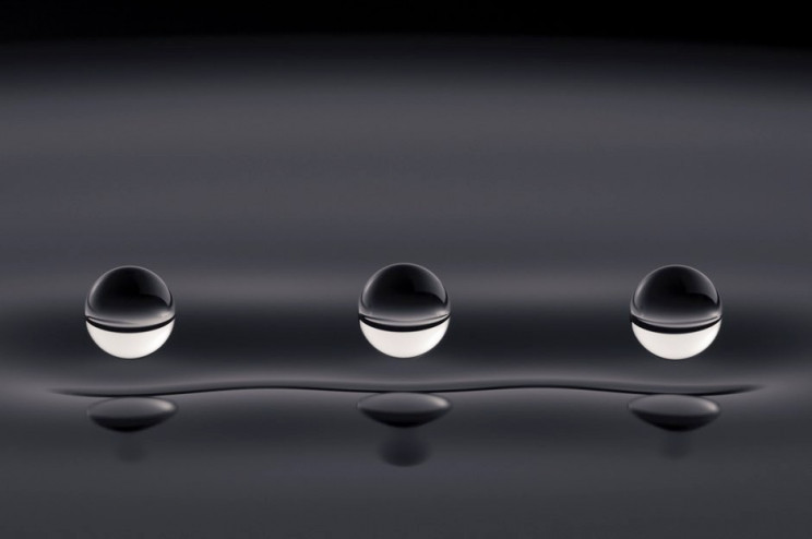 The Royal Society Announces Best Science Photos Of The Year The Royal Society Announces Best Science Photos Of The Year