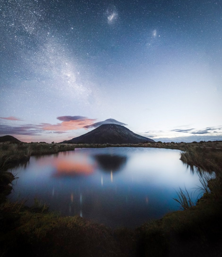 The Royal Society Announces Best Science Photos Of The Year The Royal Society Announces Best Science Photos Of The Year
