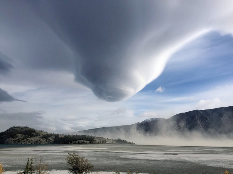 The Royal Society Announces Best Science Photos Of The Year The Royal Society Announces Best Science Photos Of The Year