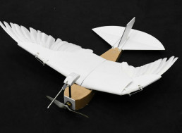 Researchers Develop a Drone That Can Bend Its Wings Similar To Birds