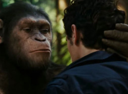 Researchers Translate How Non-Human Primates Hear Sounds