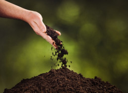 Turn Your Deceased Loved One Into Soil: First Human Compost Site to Open in 2021