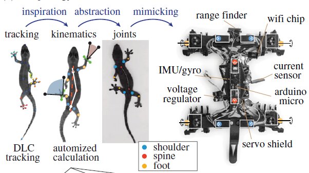 New 'Roboreptile' Climbs Just Like a Real Lizard New 'Roboreptile' Climbs Just Like a Real Lizard