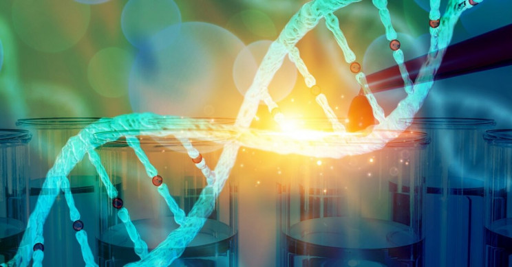 New CRISPR-Free Gene-Editing Tool a Massive Step, Scientists Say