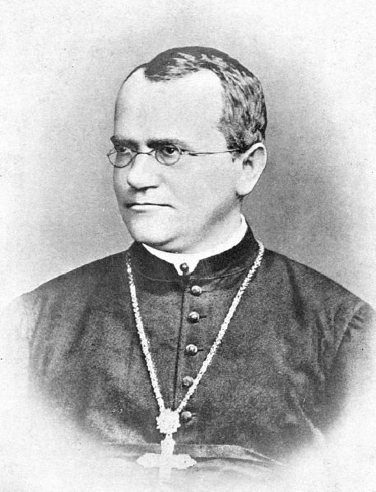 Gregor Mendel's Laws of Inheritance Changed our Understanding of Genetics