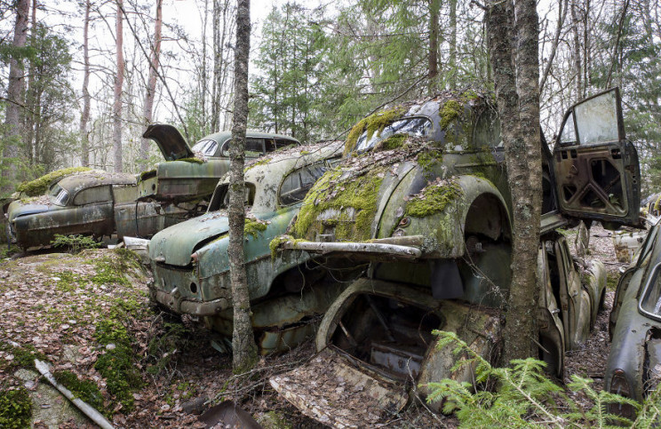 Photographer Documents Sweden's Abandoned Car Cemetery Photographer Documents Sweden's Abandoned Car Cemetery