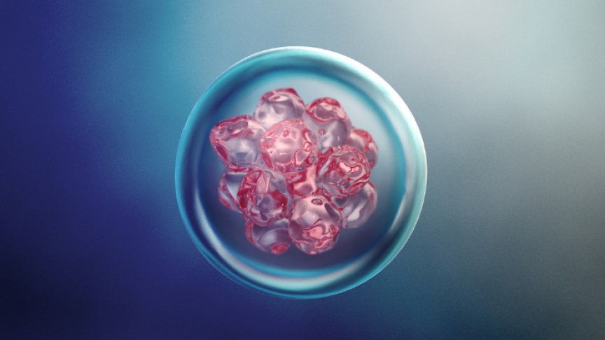 High-frequency sounds can change basic stem cells into functional bone matter - Interesting Engineering