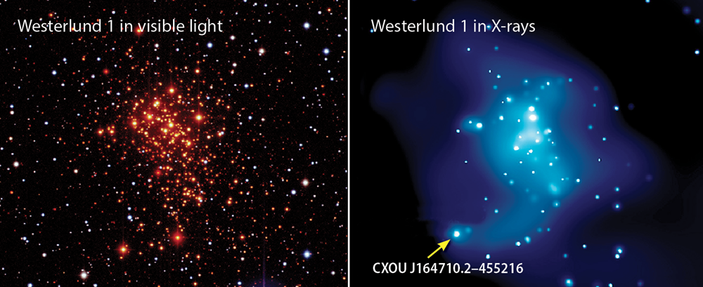 Westerlund 1 and CXOU J164710.2–455216 Rendering of W1 and the likely culprit