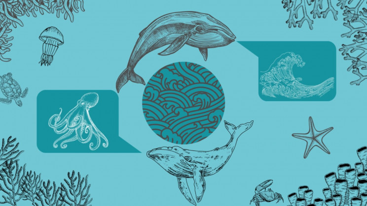 Talking to Animals: Using AI to Decode the Language of Whales