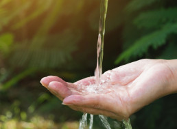 Urgent Action Needed to Maintain Good Water Quality