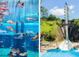 7 of the Craziest Water Slides around the World