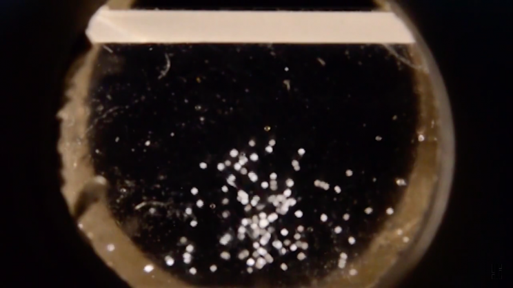 In a First, Russian Cosmonaut Performs Tissue Engineering in Space In a First, Russian Cosmonaut Performs Tissue Engineering in Space