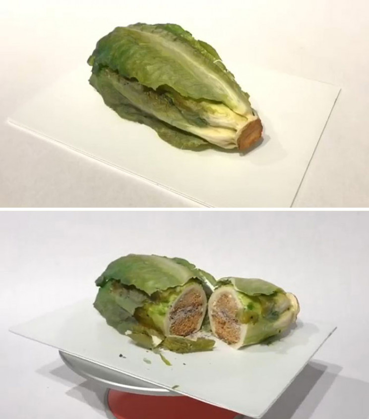 11+ Realistic Cakes That Will Make You Wonder If You're a Cake Too 11+ Realistic Cakes That Will Make You Wonder If You're a Cake Too
