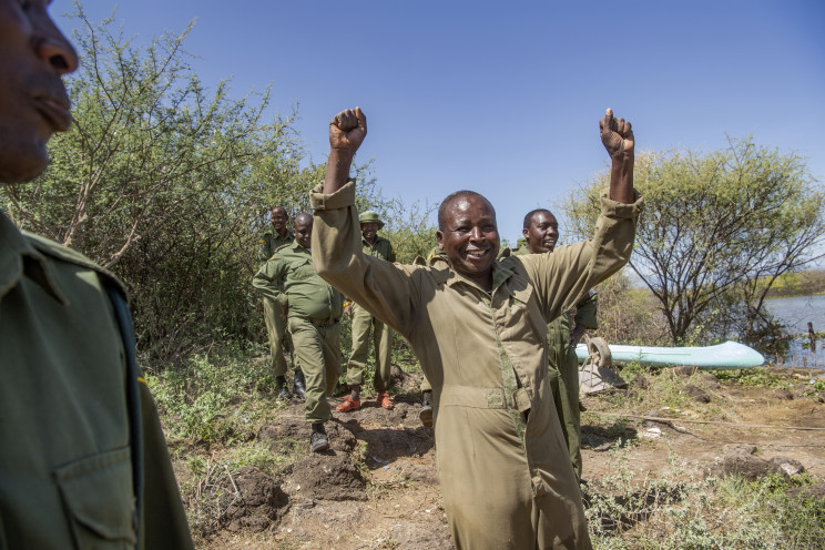 Community Built Raft To Rescue Giraffes From Flooded Island in Kenya Community Built Raft To Rescue Giraffes From Flooded Island in Kenya