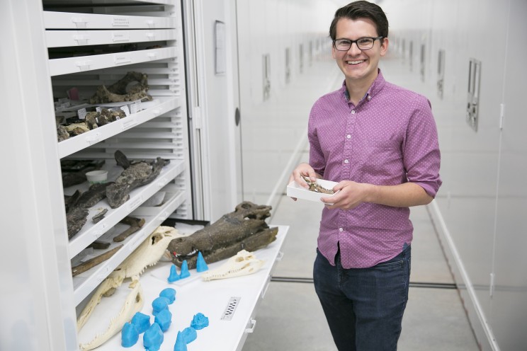 Ancient Vegetarian Crocodiles Roamed the Earth More Than 200 Million Years Ago Ancient Vegetarian Crocodiles Roamed the Earth More Than 200 Million Years Ago