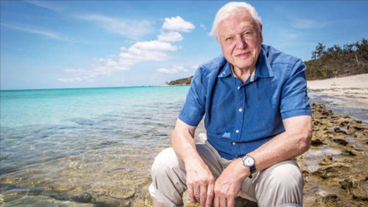 David Attenborough's 5 Lessons For Every Human