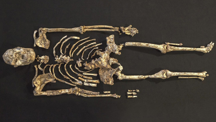 'Little Foot' Reveals How Human Ancestors Used Their Arms 3.6 Million Years Ago