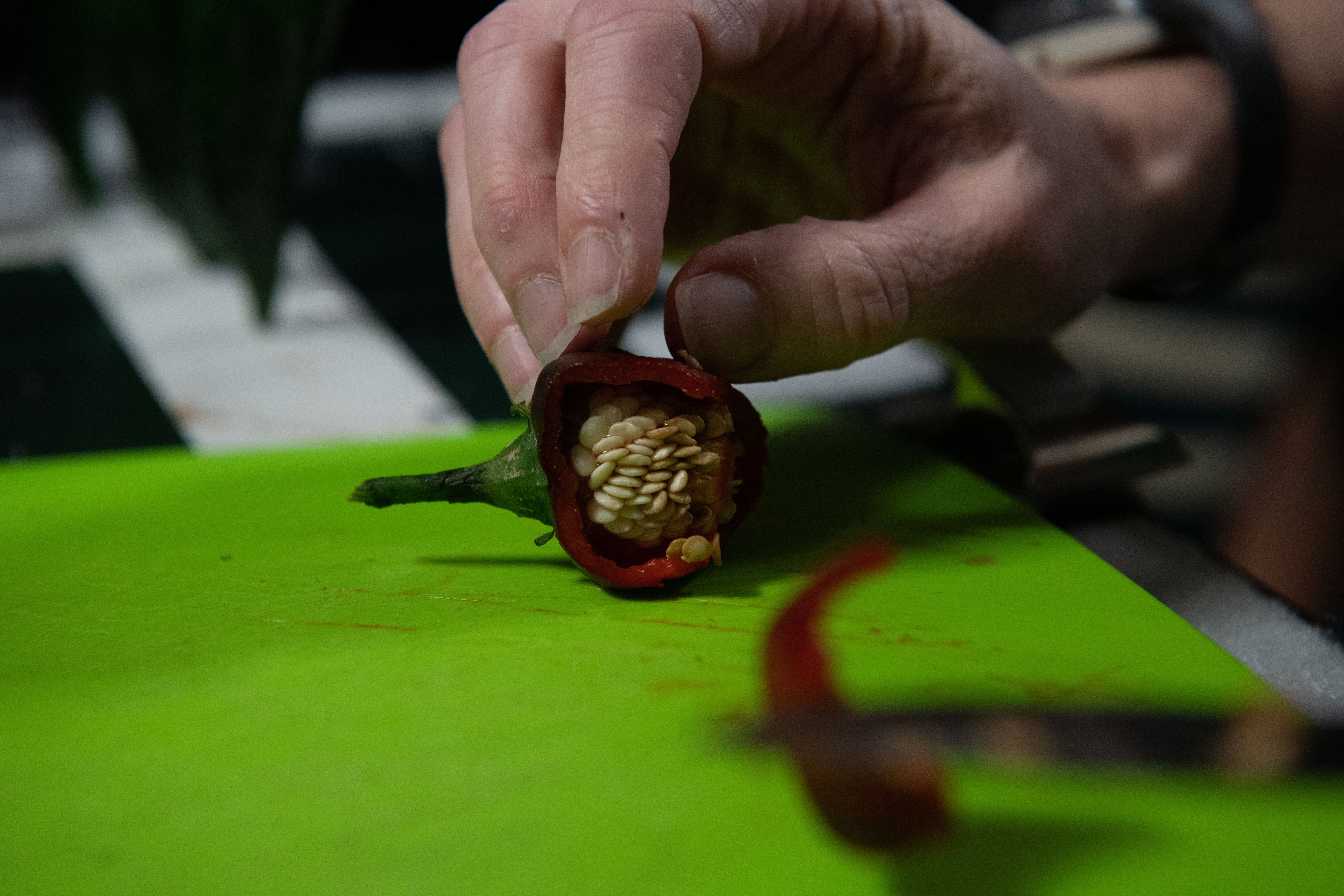 Here’s How NASA Astronauts Grew Perfect Peppers on the ISS Here’s How NASA Astronauts Grew Perfect Peppers on the ISS