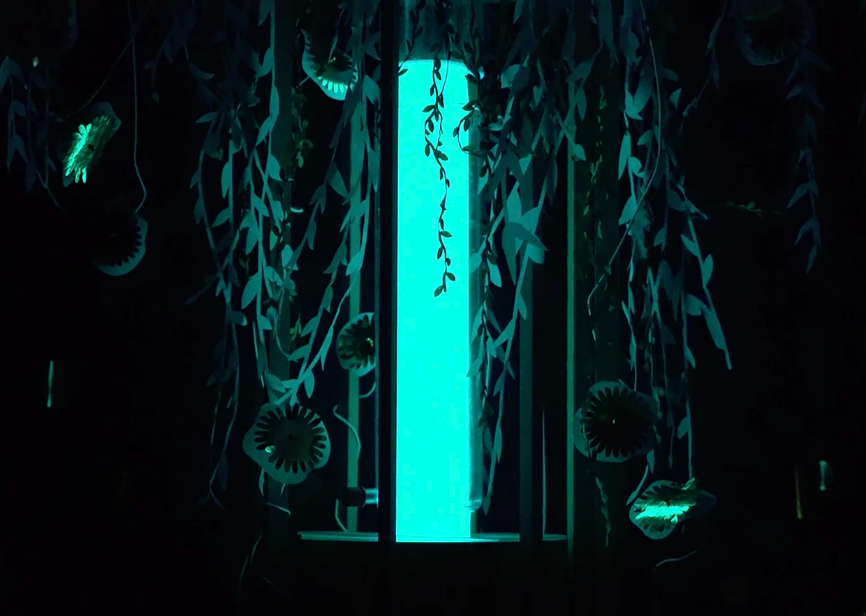 A small French town is thrust into the light by bioluminescent organisms A small French town is thrust into the light by bioluminescent organisms