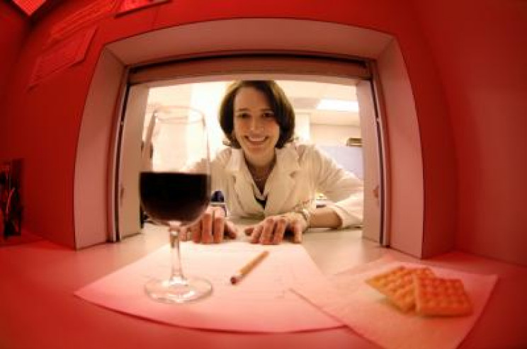 In Vino Veritas: Find out What Characteristics Make Award-Winning Wines