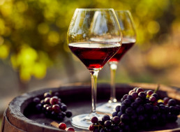 In Vino Veritas: Find out What Characteristics Make Award-Winning Wines