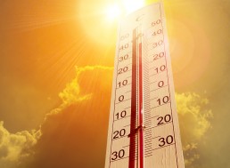 European Heatwave: The Causes and Effects of the Dangerously High Temperatures