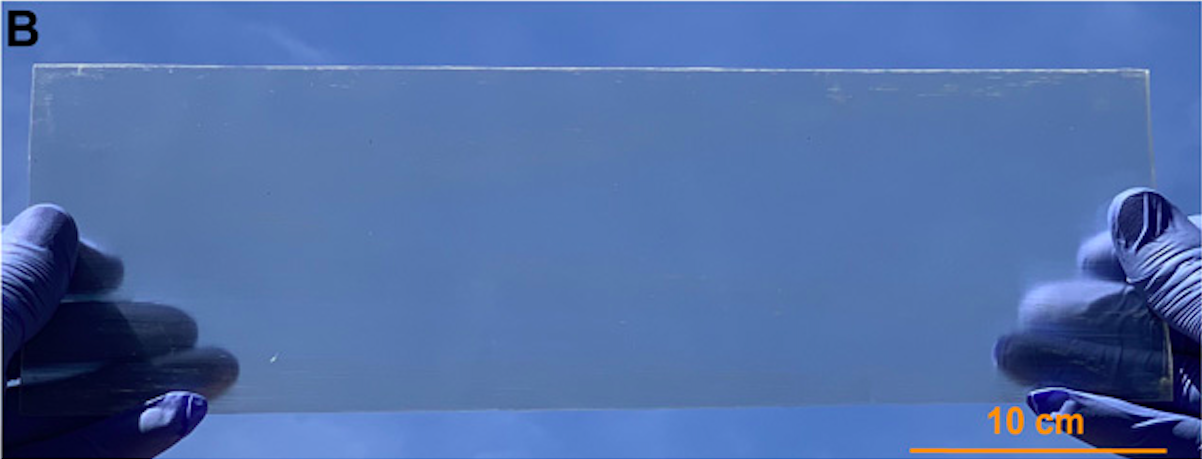 Scientists Made Transparent Wood That's Stronger and Lighter Than Glass Scientists Made Transparent Wood That's Stronger and Lighter Than Glass