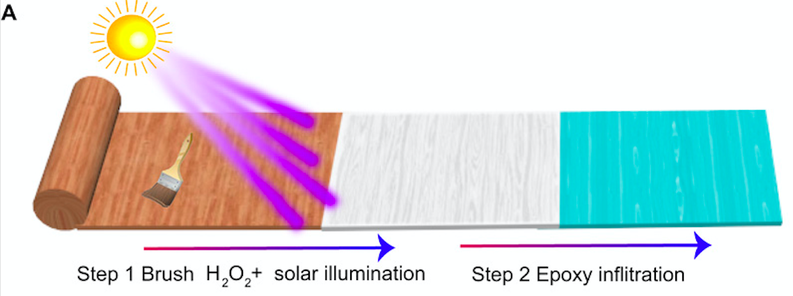 Scientists Made Transparent Wood That's Stronger and Lighter Than Glass Scientists Made Transparent Wood That's Stronger and Lighter Than Glass