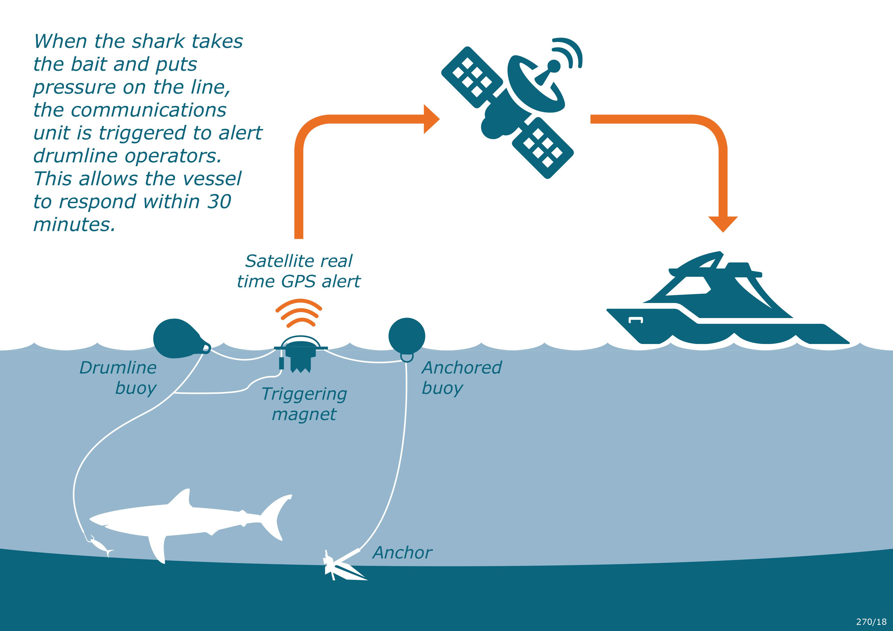 anti-shark tech smart drumline