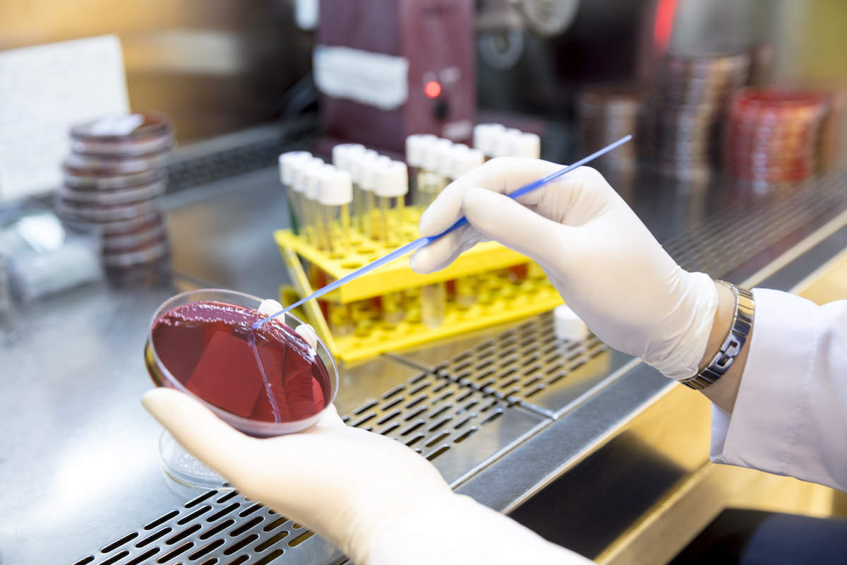 9 Things You Should Know About the Antibiotic Apocalypse 9 Things You Should Know About the Antibiotic Apocalypse