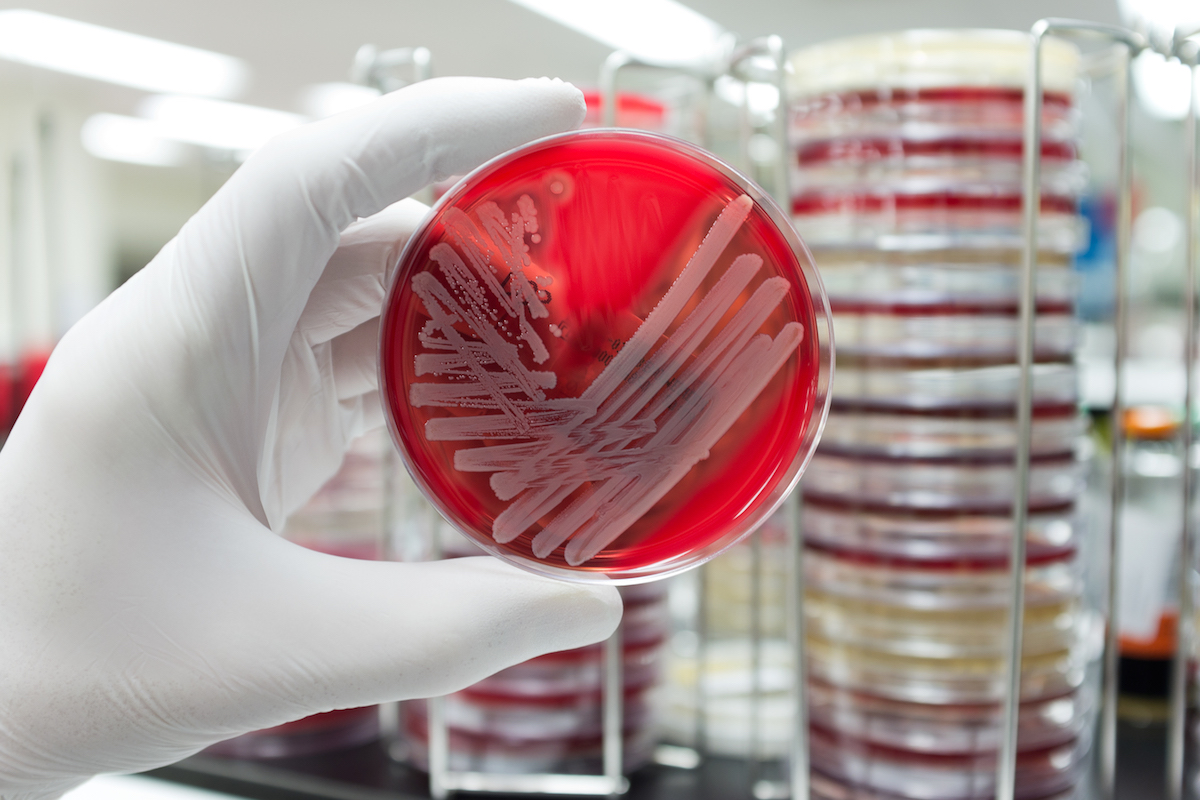 9 Things You Should Know About the Antibiotic Apocalypse 9 Things You Should Know About the Antibiotic Apocalypse