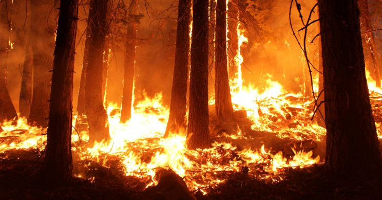 history of Australian bushfires